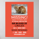Suche nach vermisst poster Personalisiertes foto