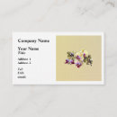 Recherche de phalaenopsis cartes visite Orchidée