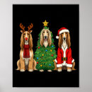 Suche nach afghanische poster Afghanischer windhund