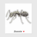 Suche nach ant aufkleber Insekt