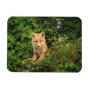 Recherche de renard de bébé magnets Animal