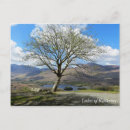 Recherche de killarney cartes postales Nature