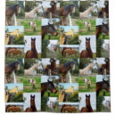 Recherche de collage cheval Motif