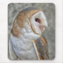 Suche nach schleiereulen mousepads Raubvögel