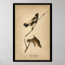 Suche nach reeder poster Vintag