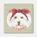 Recherche de chien blanc magnets Maman de chien