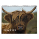 Suche nach kuh kalender Rinder