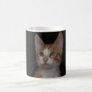 Suche nach gestreifte katze tassen Haustiere