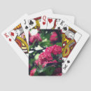 Recherche de printemps jeux de cartes Photographie