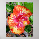 Suche nach hybrider poster Flora