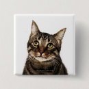 Suche nach katzenartig buttons Tiere