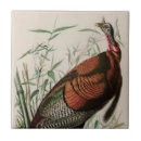 Suche nach vogelliebhaber fliesen Natur