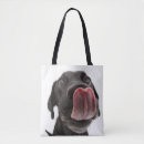 Suche nach nase taschen Hund
