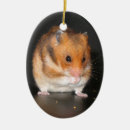 Suche nach niedliche hamster ornamente Weihnachten