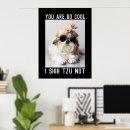 Suche nach nicht cool poster Haustiere