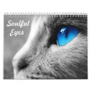 Recherche de yeux bureau fournitures Chat