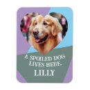 Recherche de le coeur magnets Pour eux