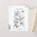 Suche nach botanischer druck postkarten Wohngestaltung