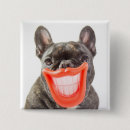 Recherche de bouledogue francais badges Animaux