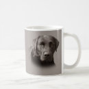 Recherche de chocolat labrador tasses Chien