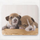 Suche nach japaner mousepads Niedlich