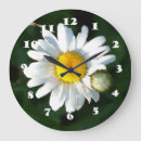 Recherche de marguerite blanche horloges Marguerites blanches
