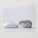 Suche nach computermaus postkarten Tier