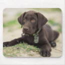 Recherche de chocolate tapis souris Labrador retriever