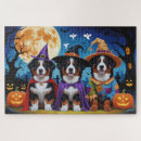 Recherche de chien de montagne bernese puzzles Animal