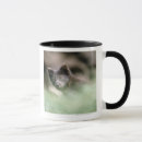 Recherche de petit loup tasses Animal