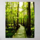 Suche nach sumpf poster Nationalpark