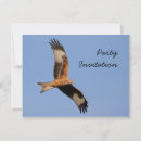 Recherche de raptor invitations Oiseau