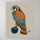 Recherche de talon posters Bleu