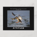 Recherche de faune action vœux cartes Drôle