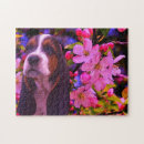 Recherche de basset puzzles Hound