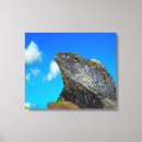 Suche nach eidechse poster leinwandbilder Tier
