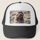 Recherche de machines casquettes Paresseux