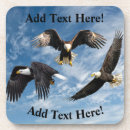 Recherche de aigle dessous de verres Aigle à tête blanche