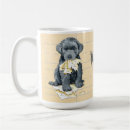 Recherche de flandres tasses Chiot