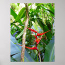 Suche nach vanille poster Orchidee
