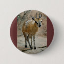 Suche nach ziegen buttons Wild