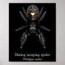 Recherche de arachnide art Nature