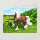 Recherche de peintures de cheval cartes postales Nature
