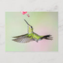 Recherche de brillant cartes postales Jardin