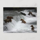 Recherche de abondance cartes postales Nature