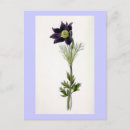 Suche nach anemone postkarten Floral