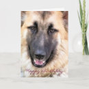 Recherche de gsd vœux cartes Chien
