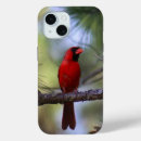 Recherche de cardinal du nord iphone coques Nature