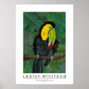 Suche nach tucan poster Dschungel