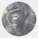 Recherche de gorille autocollants Primat
